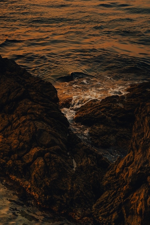 Gallery cover image