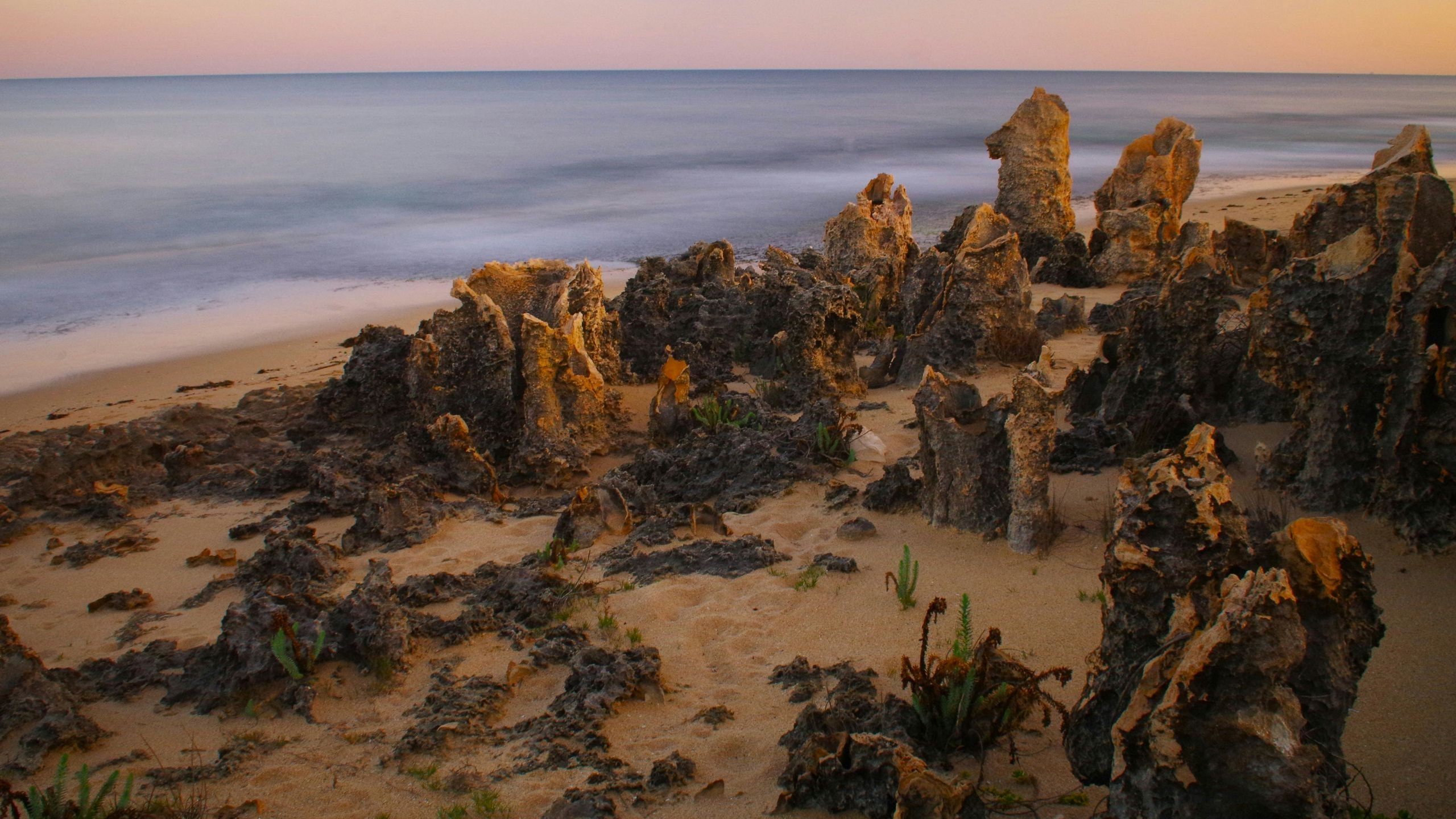 Gallery cover image